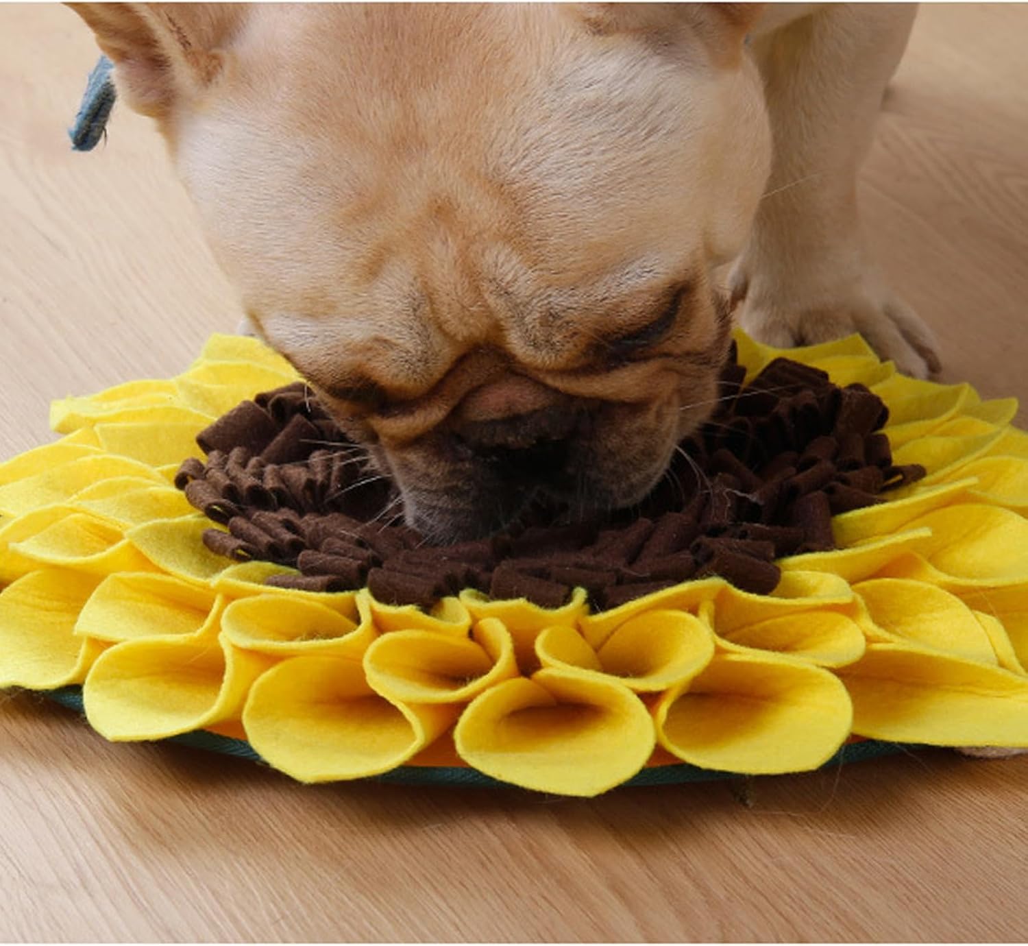 Snuffle Mat for Dogs, Pet Sniffing Pad for Slow Feeding, Puppy Cat Interactive Puzzle Toys for Smell Training, Indoor Foraging Mat for Stress Relief