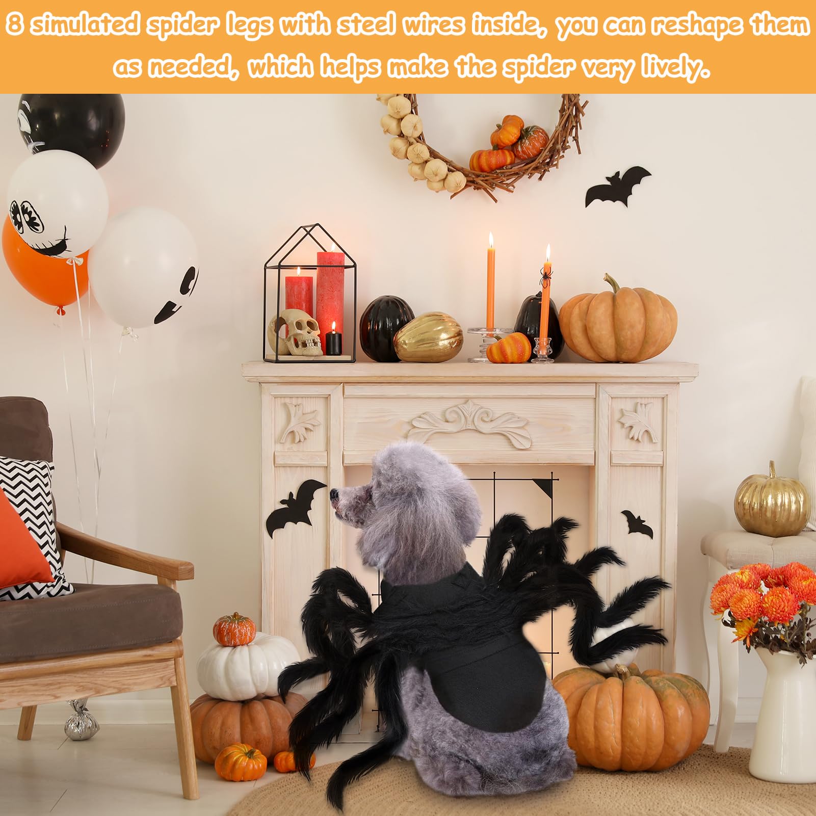 Spinnenkostüm Für Hunde & Katzen – Schwarzes Tutu Mit Flügeln Für Halloween & Cosplay