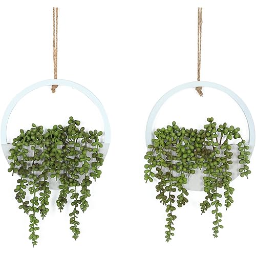 Hobyhoon Artificial Hanging Plants Hanging Planter Fake Succulents Artificial String of Pearls with Pot and Lanyard for Home Office Wall Decoration