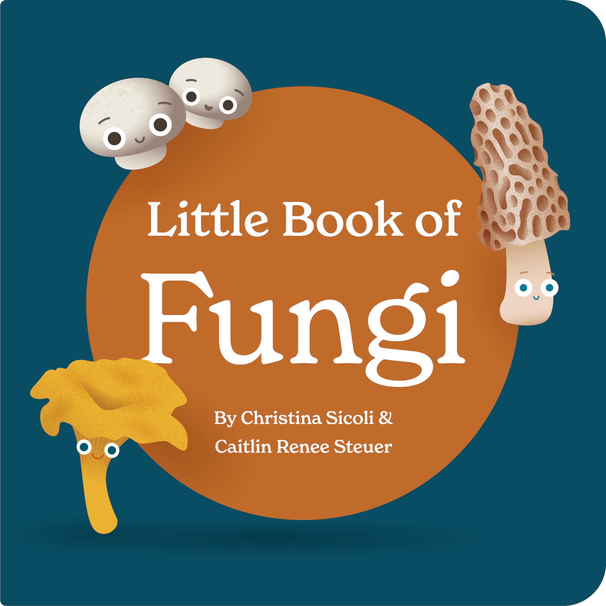 Little Book of Fungi Board Book for Babies and Toddlers Exploring Mushroom Facts and Clever Rhymes Classroom Must Have Learning Resource Baby 0-12 Months Toddler Ages 1-4 by Chunky Deli