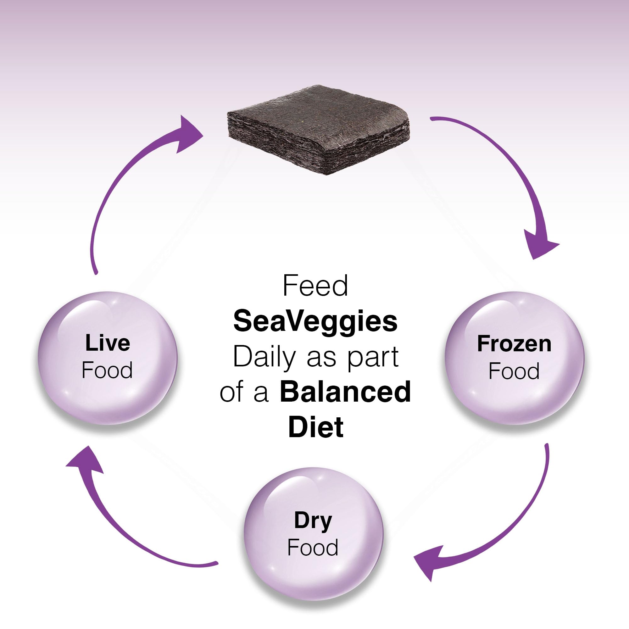 TWO LITTLE FISHIES Atlsvpsb Sea Veg-Purple Seaweed Bulk, 100 Fogli