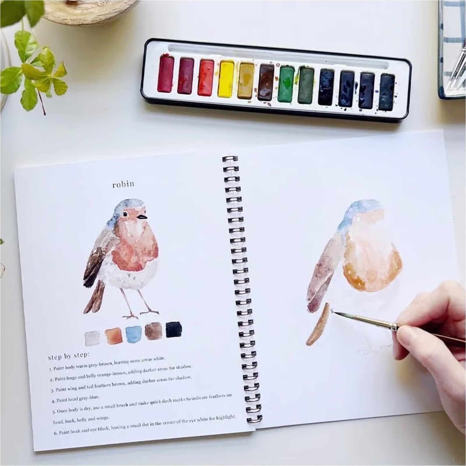 Learn with birds, a beginner's guide.