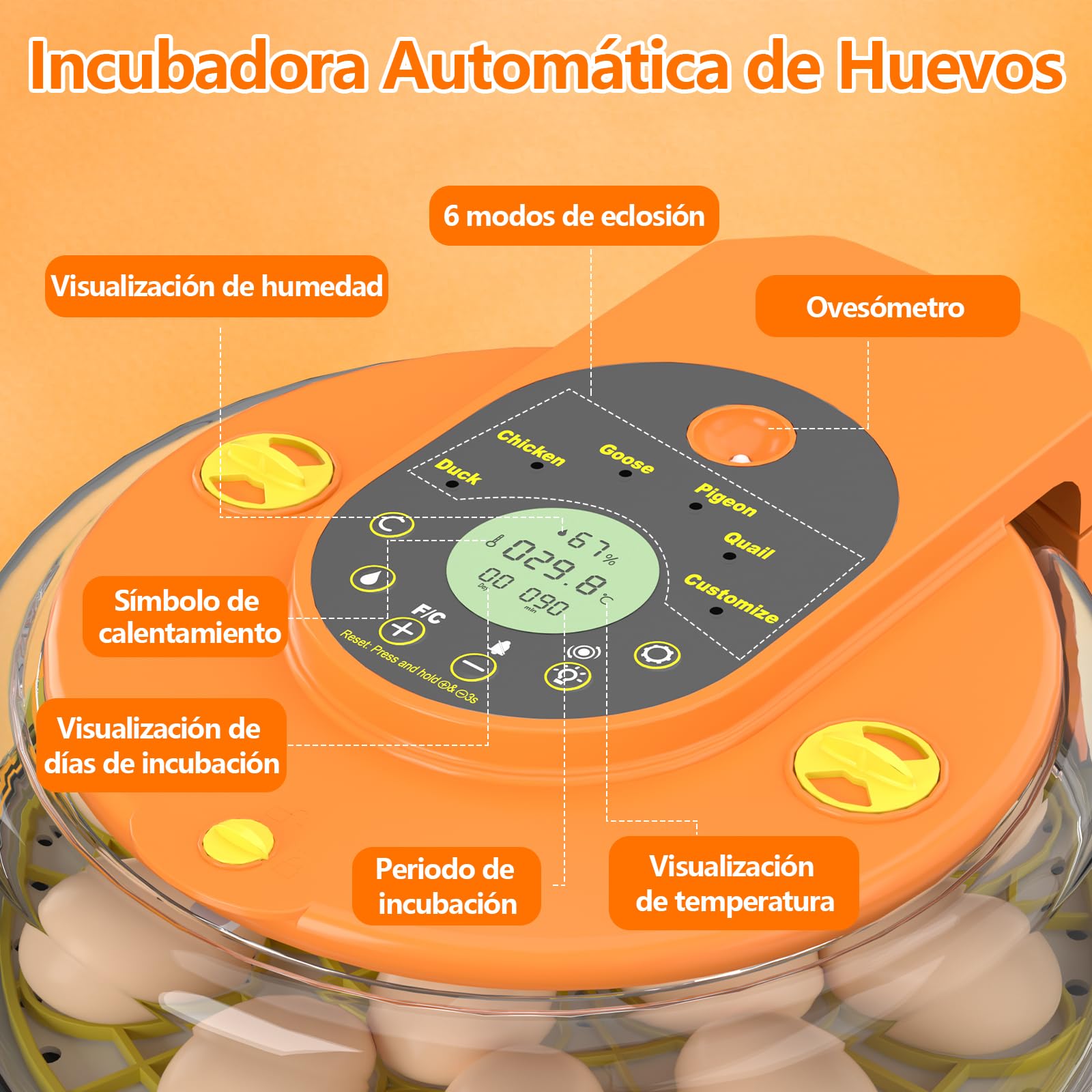 Incubadora Huevos Gallina, Diealles Shine Incubadoras de Huevos Automaticas de 15 Huevos con Volteo Automático de Huevos y Humidificación Automática, Incubadoras con Indicador de Humedad y Temperatura