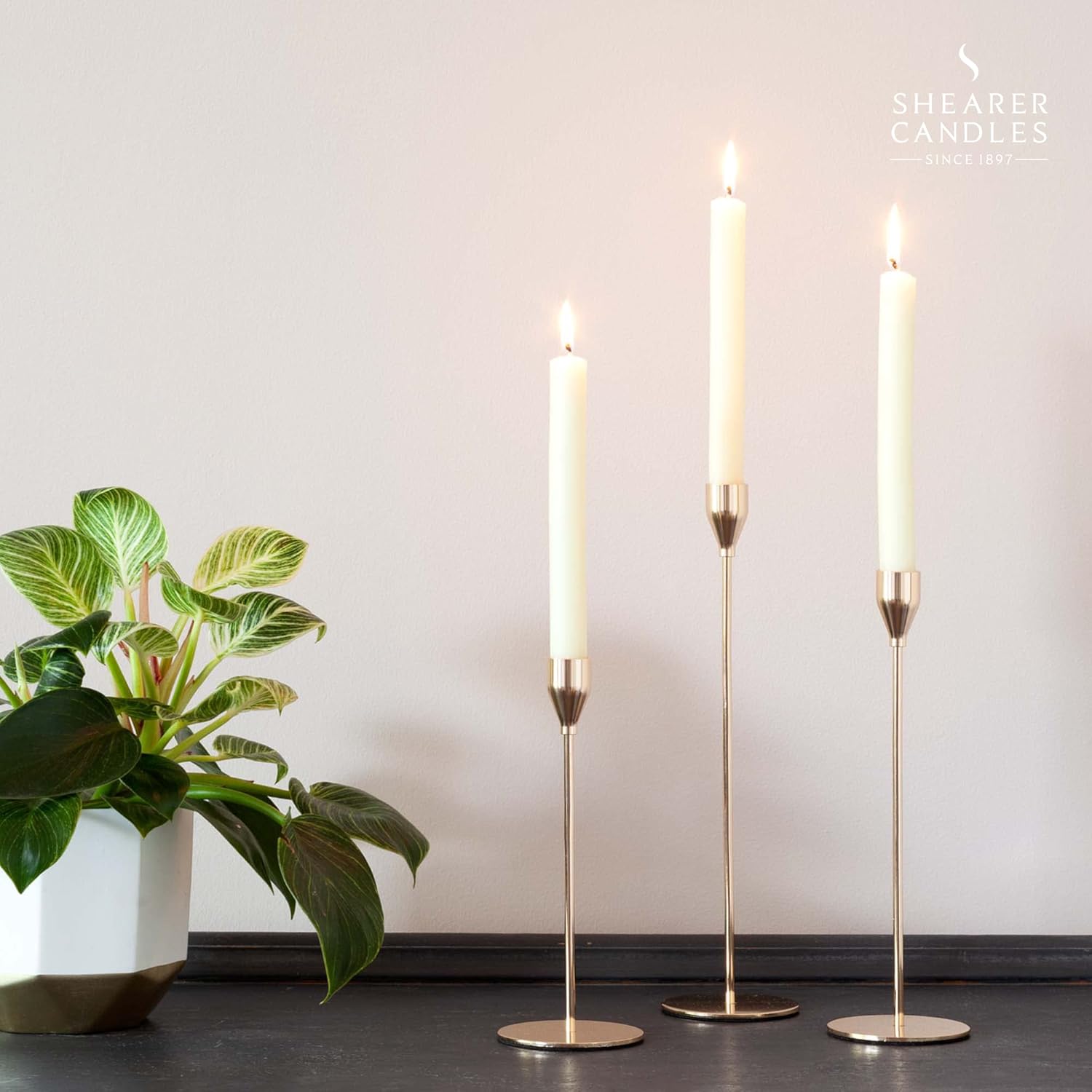 Shearer Candles Dinner, Rustic, Dining Candle, Cotton Wick Ivory, Pack of 20