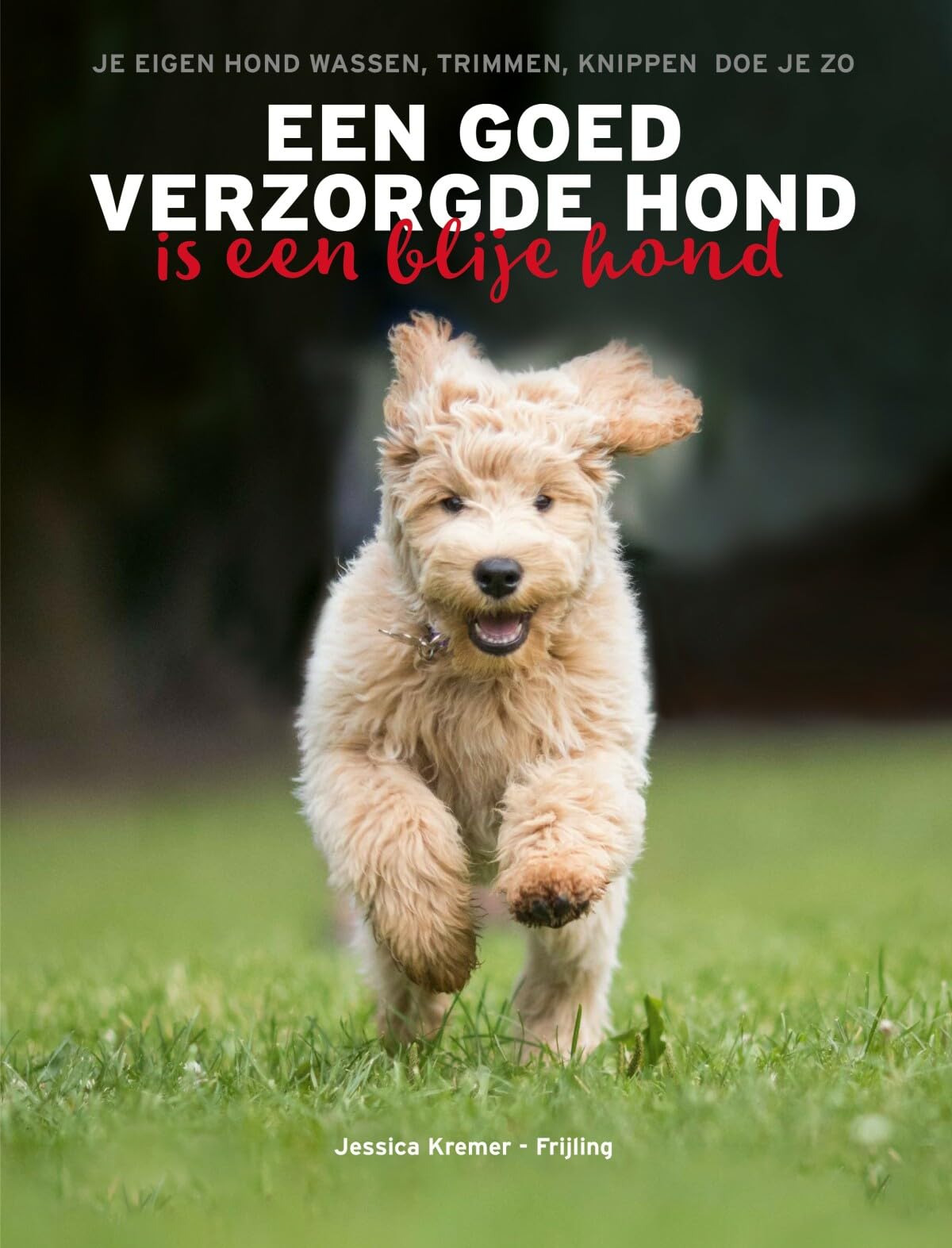 Een goed verzorgde hond is een blije hond: je eigen hond wassen, trimmen en knippen doe je zo