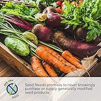 Vista 3 de Seed Needs, Royal Chantenay - Semillas de zanahoria para plantar (Daucus carota) Paquete individual de 800 semillas, reliquia, sin OMG y sin tratar