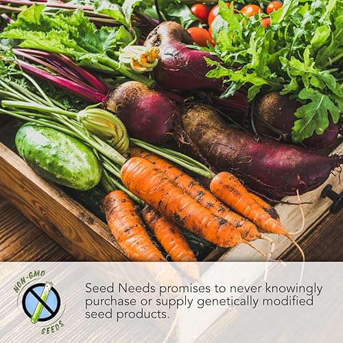 Miniatura 3 de Seed Needs Semillas de cebolla para plantar cebollas amarillas dulces españolas de día largo – Semillas de verduras sin OMG y sin tratar para