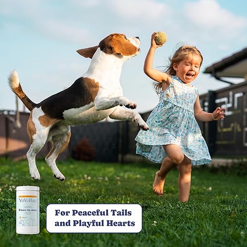 Miniatura 8 de YoYoBay YoYoBay - Suplemento multivitamínico y minerales para perros 4 en 1, masticable suave, 60 unidades