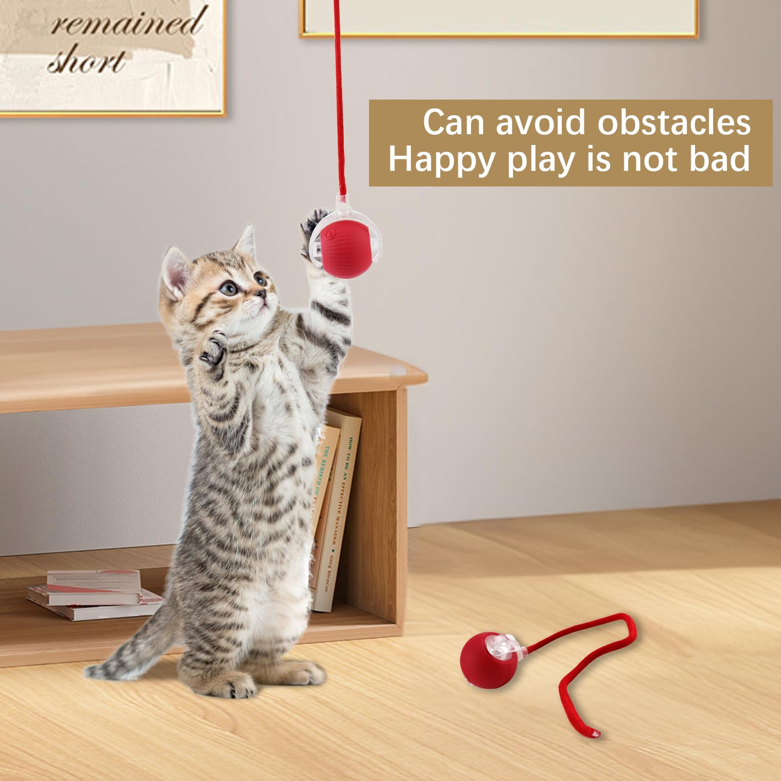VicBou Smart Cat Toy Ball, Electric Interactive Play Ball with Tail, 3 Modes, Cat Toy Ball for Adults, Cats, Robust, Chew-Resistant, Rechargeable, for All Floors 3