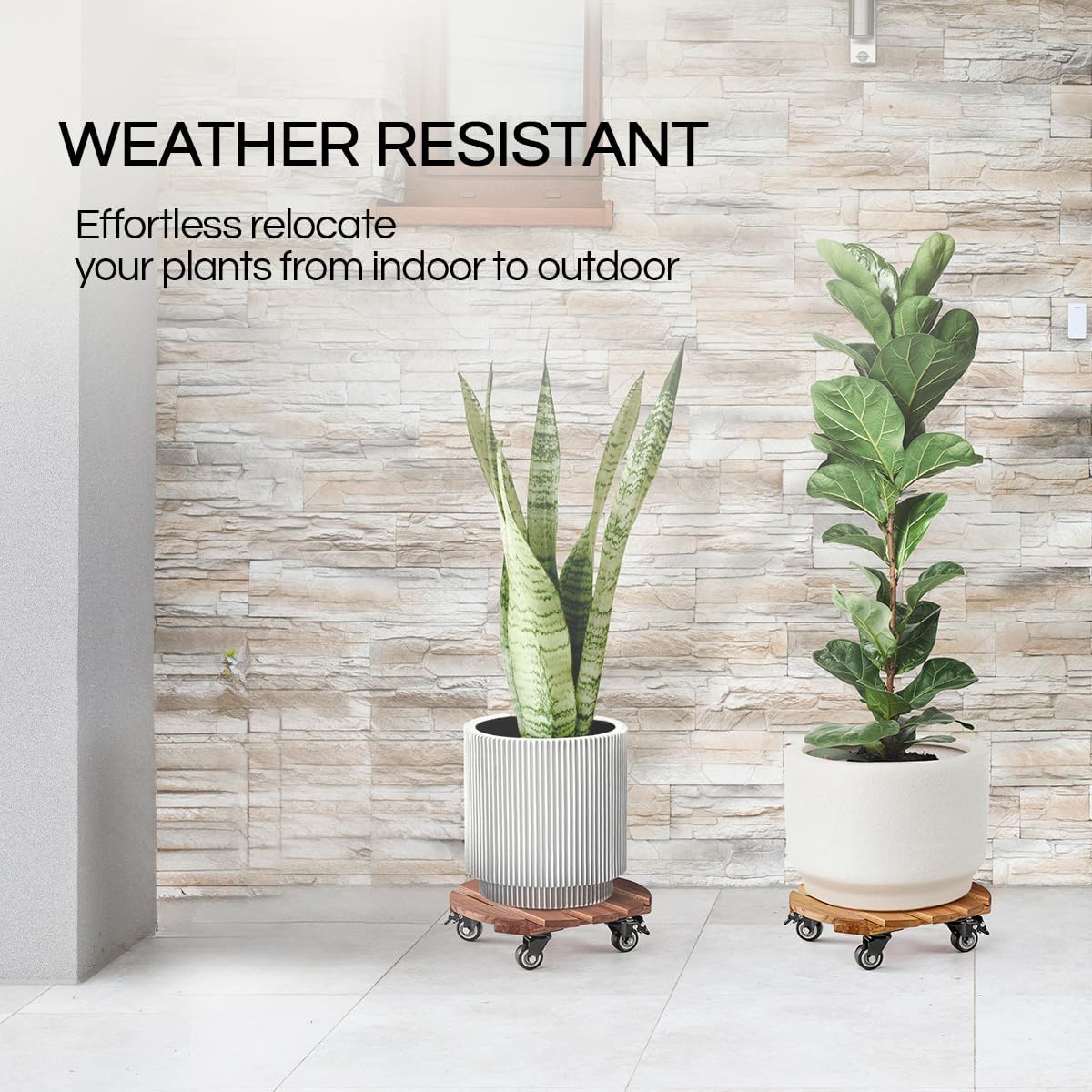 THYOI 2 Pack 12" Acacia Wood Plant Caddy with Lockable 360° Caster Wheels, 300 LB Heavy Duty Rolling Stand for Indoor Outdoor Planter Pots, Wooden Dolly for Patio (Golden Teak, Round)
