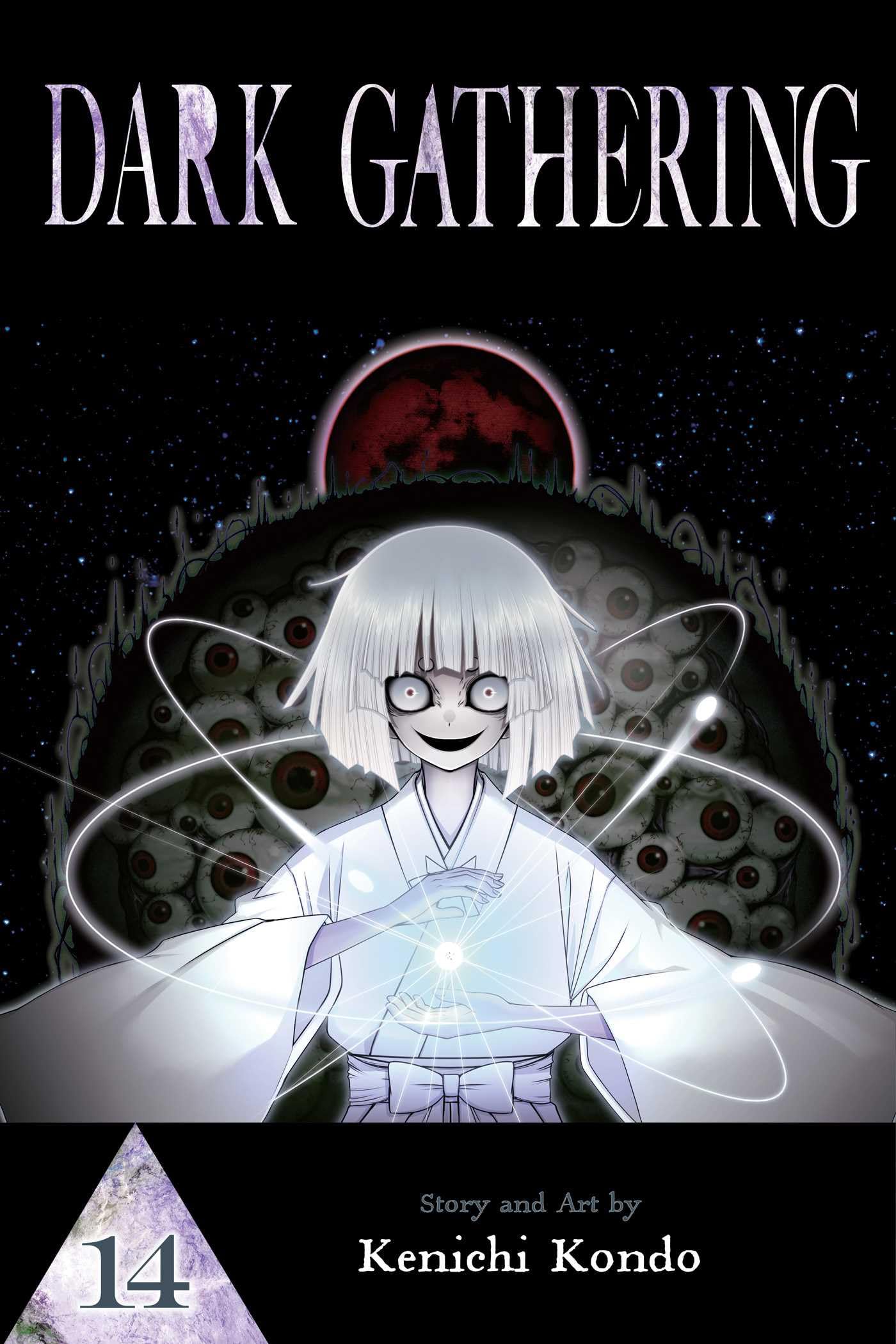 Dark Gathering, Vol. 14 by Kenichi Kondo - 9781974755332