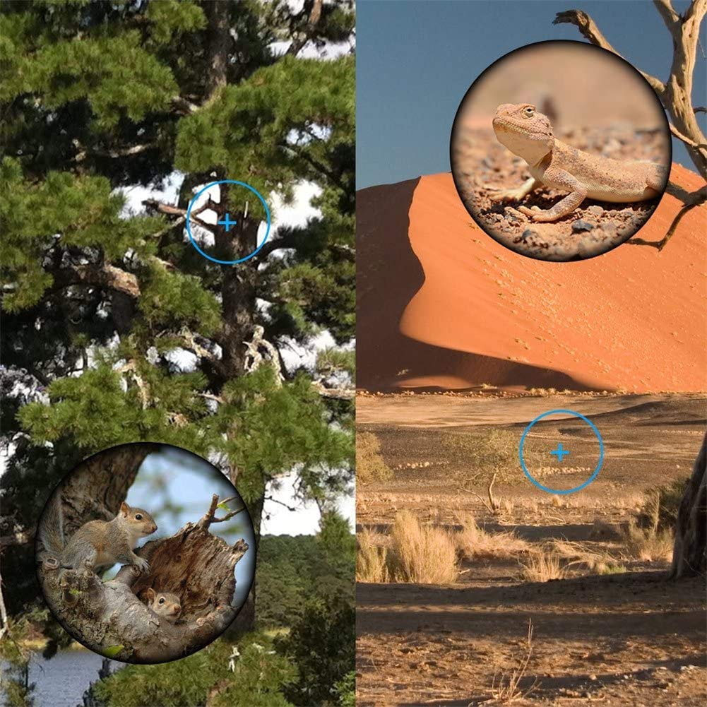 Binocolo Portatile ad Alta Potenza telescopio monoculare, 40X60 ad Alta Potenza ad Alta Definizione monoculare Adulti Impermeabile Birdwatching, Campeggio, Viaggi