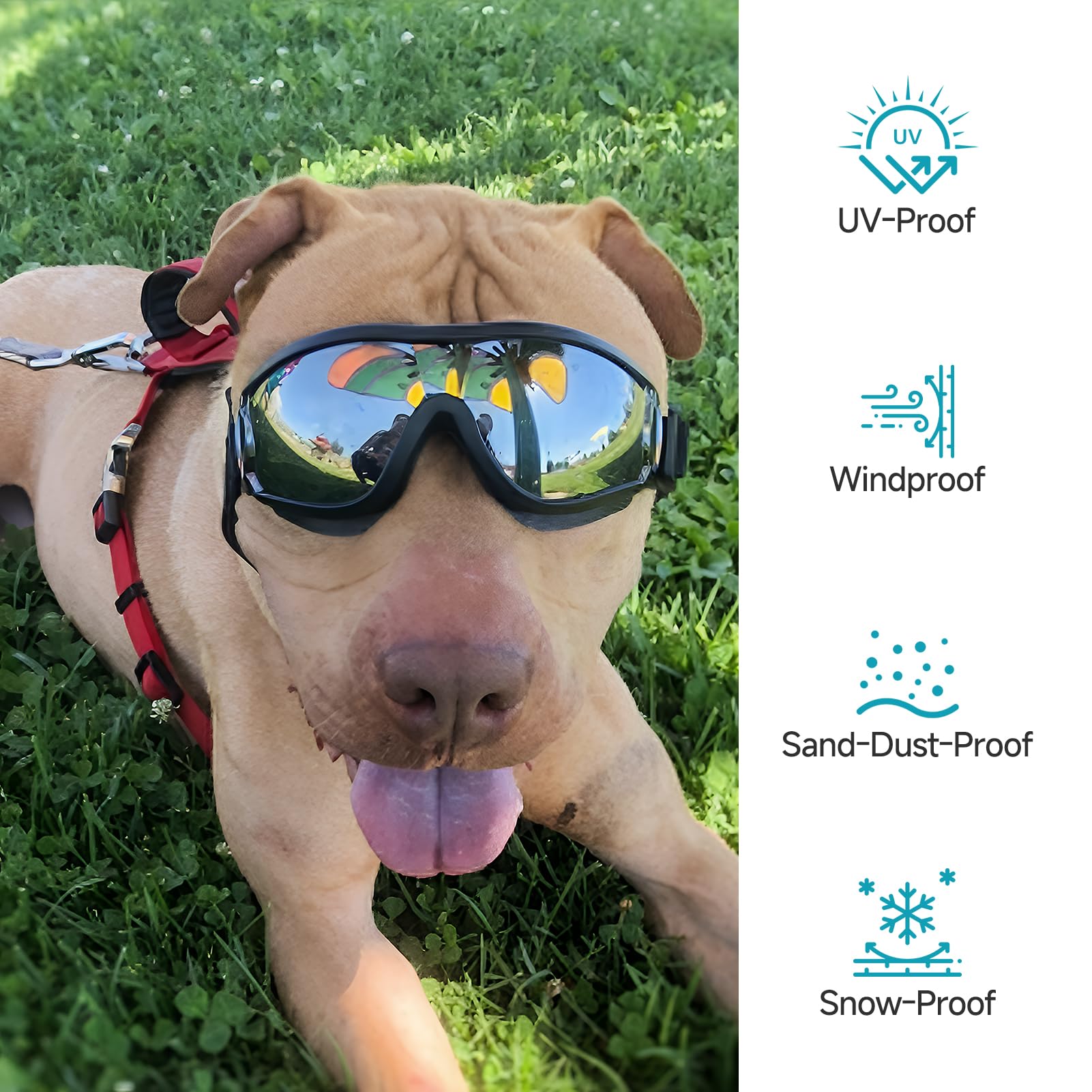 Gafas De Sol Para Perros - Ajustables, Protección UV400, Para Moto Y Exteriores