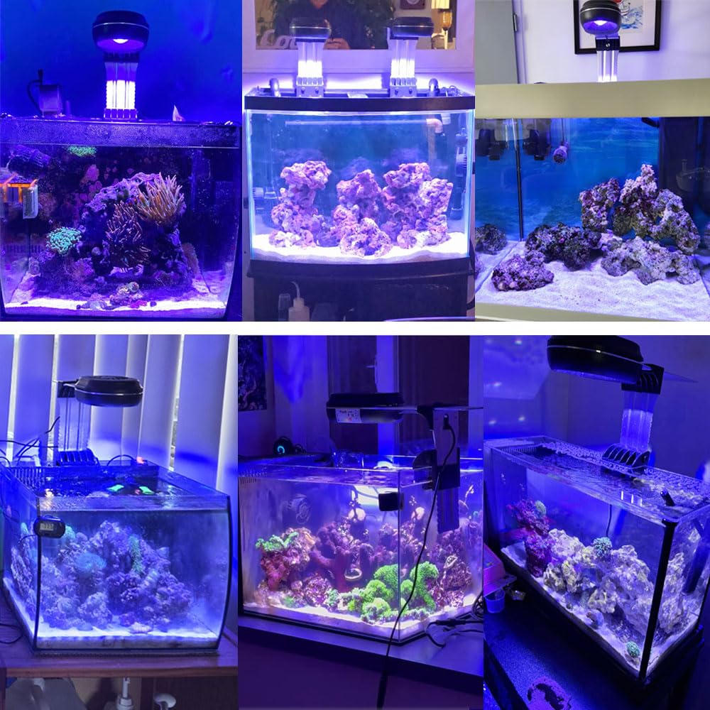 PopBloom 60W Aquarium Led Beleuchtung, Vollspektrum Marine Aquarium Beleuchtung mit Smart App-Steuerung für Ihr 20-24 Zoll Riff Nano Aquarium