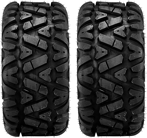 AutoForever Neumáticos ATV 24x10-11 24x10x11 UTV Neumático 6PR AT24x10R11 todo terreno, sin cámara (juego de 2)