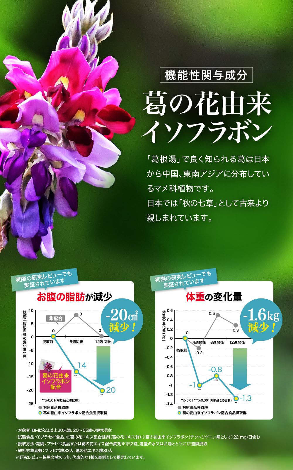 Amazon | ファンファレ 血圧と脂肪クリアの青汁粒 血圧下げる 脂肪を