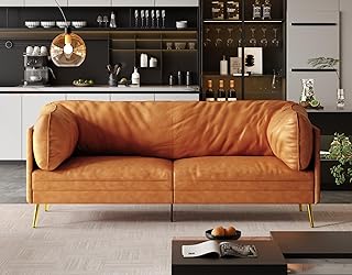 Vesgantti 73'' Mid-Century Modern Couch, Small Loveseat for Office, Livi...