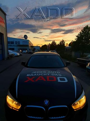 XADO Engine Flush Set Oil Additive - Engine Cleaner Additive for Petrol, Diesel and LPG Engines - Engine Flush for Thorough Cleaning, Decarbonisation and Fixed Piston Rings 2 x 250 ml - 5
