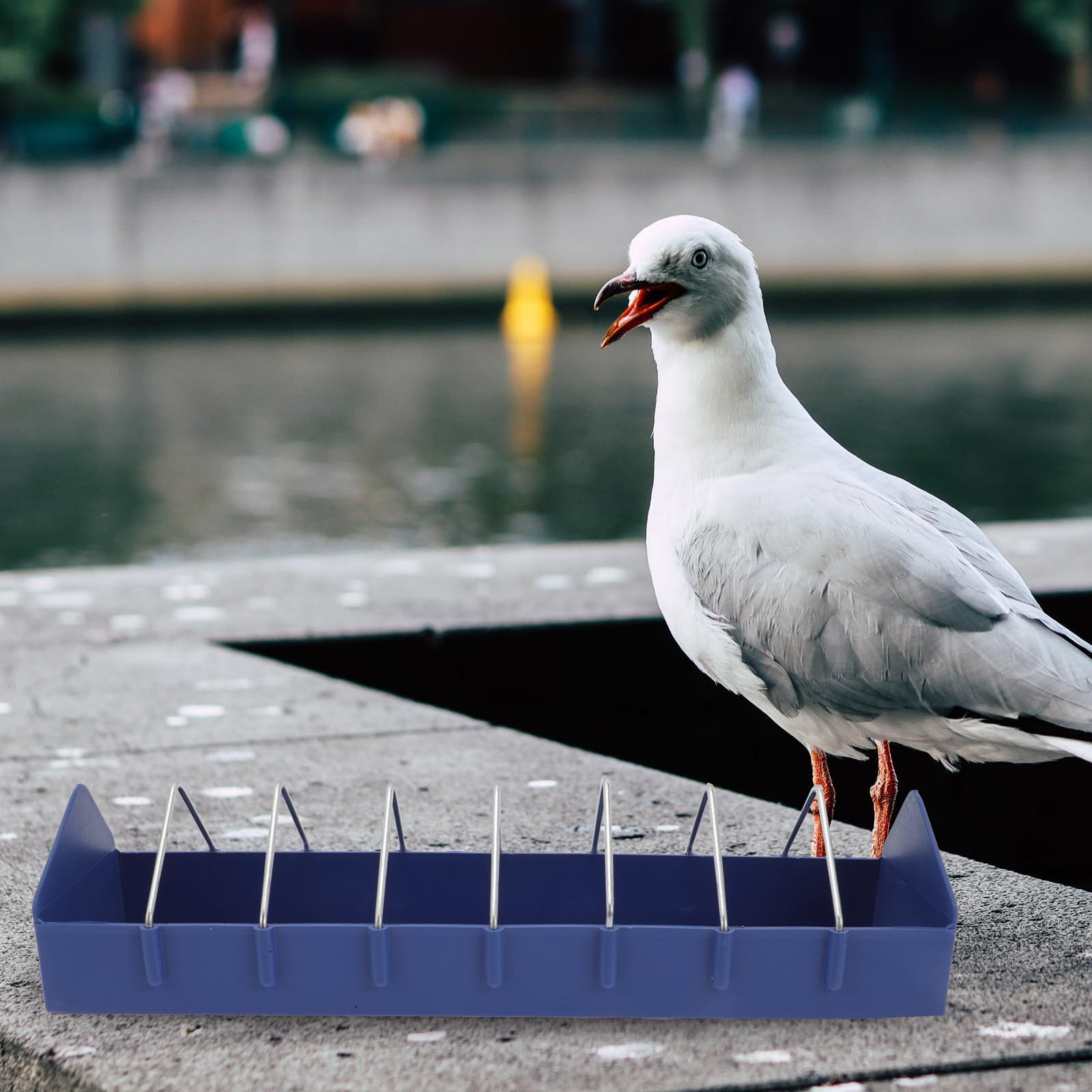 Gatuida Comedero Anticaída para Palomas, Caja de Comida de Plástico PP, 40 Cm, 2 Unidades, para Jaulas de Pájaros Pequeños y Aves Domésticas