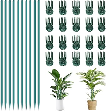 30cm Plant Support Stakes 10Pcs with 20Pcs Plant Clips for Indoor Orchid