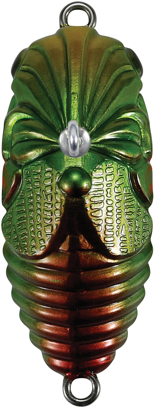 Amazon.co.jp: DUO(デュオ) ルアー ルアー レアリス シンムシ アカスジ