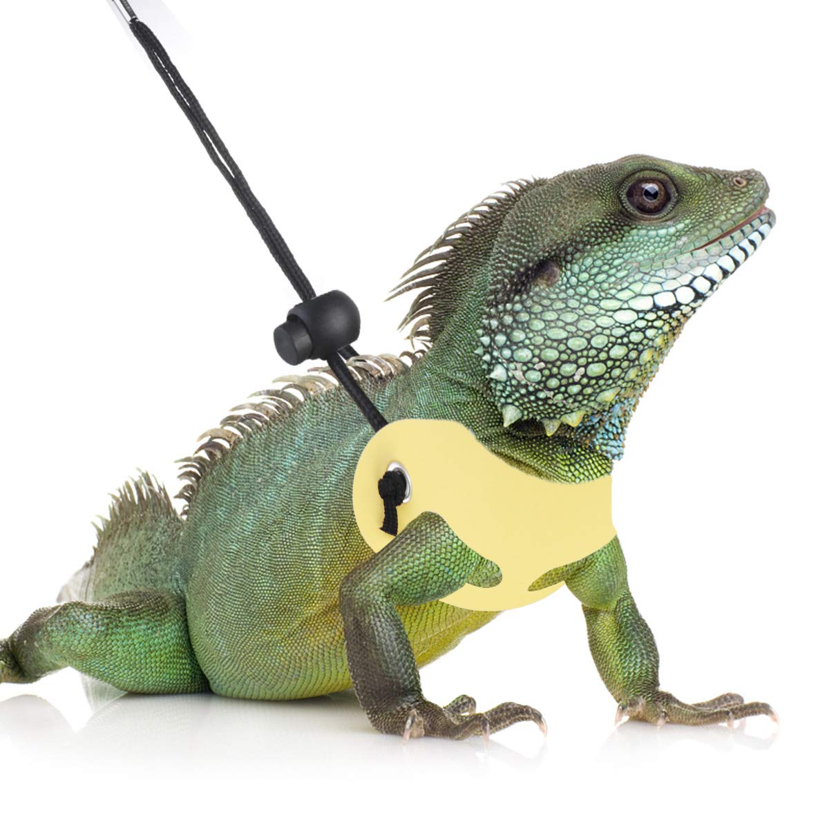 Arnés Y Correa Felenny Para Reptiles - 3 Tamaños, Cuero, Para Lagartos Y Dragones Barbudos