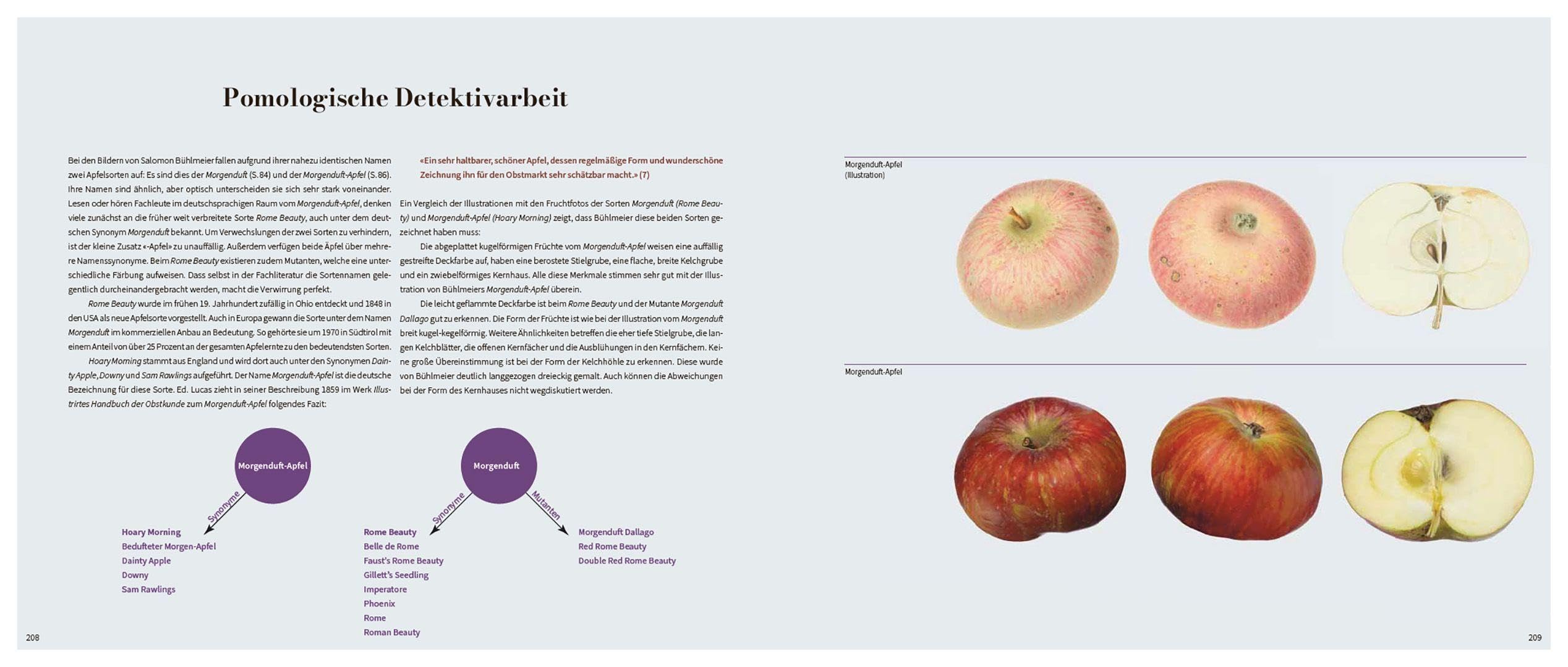 Von edlem, süßweinartigem Zuckergeschmacke: Historische Obstsorten in kunstvollen Illustrationen