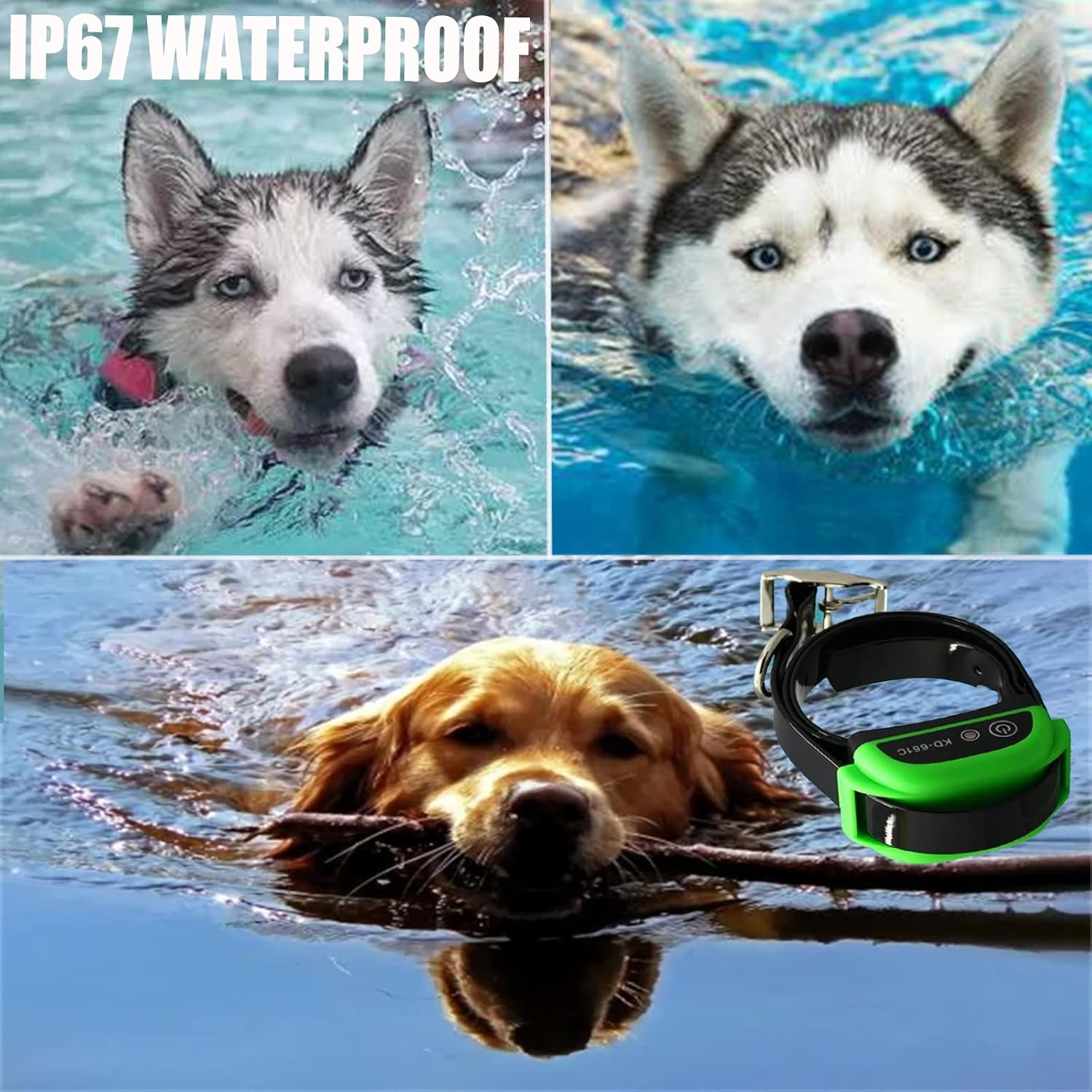 Three dogs, a Husky, a Golden Retriever, and another Husky, swimming in water, demonstrating the IP67 waterproof feature of the collar.