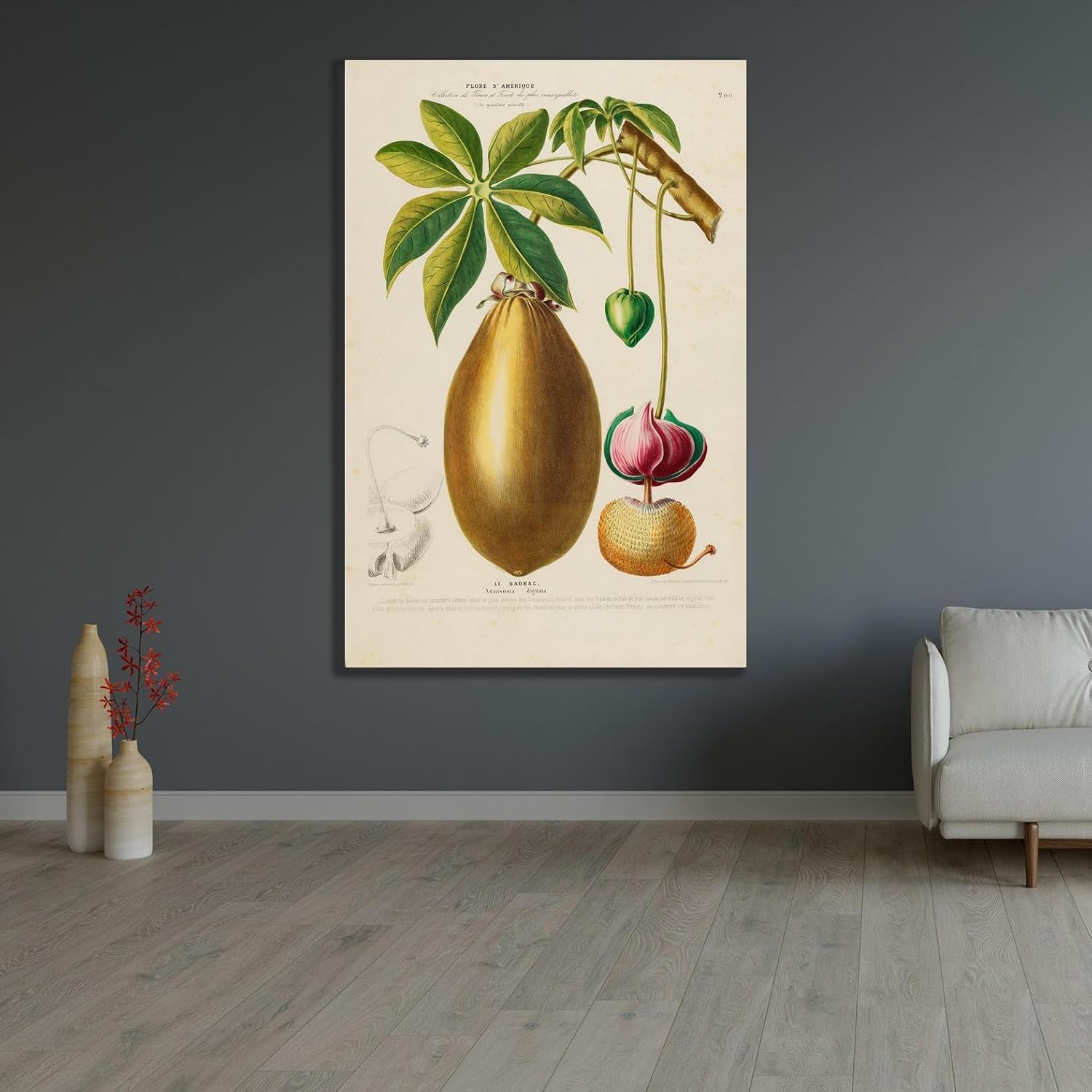 ArtDirect Flora of America, drawn from nature on the spot Pl.200 (1843) Unframed Art Print Giclee Poster by Etienne Denisse - Ready for Framing with Customization Sizes 7x10, 9x14, 13x20, 24x36, 32x48 and 40x60 inches