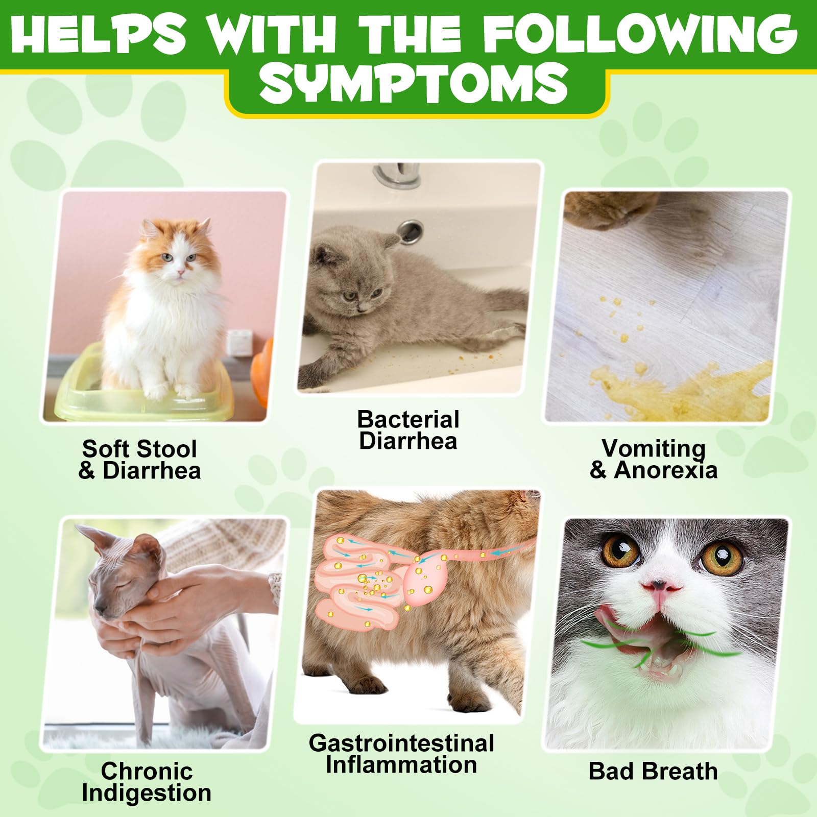 Cat Probiotic Powder, Cat Probiotics for Gut Health Probiotic Powder for Cats Cats Digestive Supplement - Image 4
