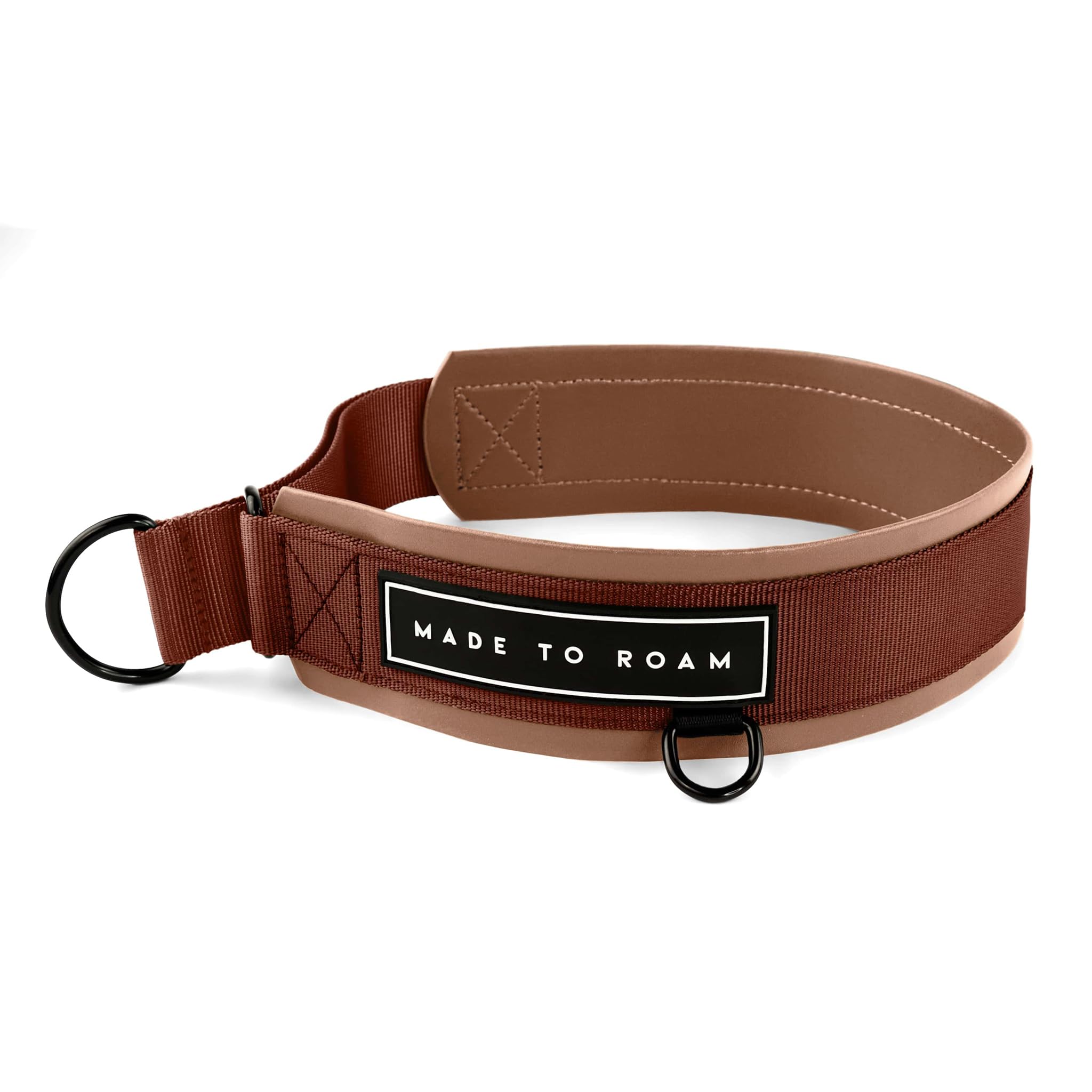 MADE TO ROAM Premium Everyday Dog Collar - Martingale Style No Pull Vegan Leather Collar, Heavy Duty and Lightweight for Small, Medium, Large Dogs (Arizona Heartbeat, Size 10)