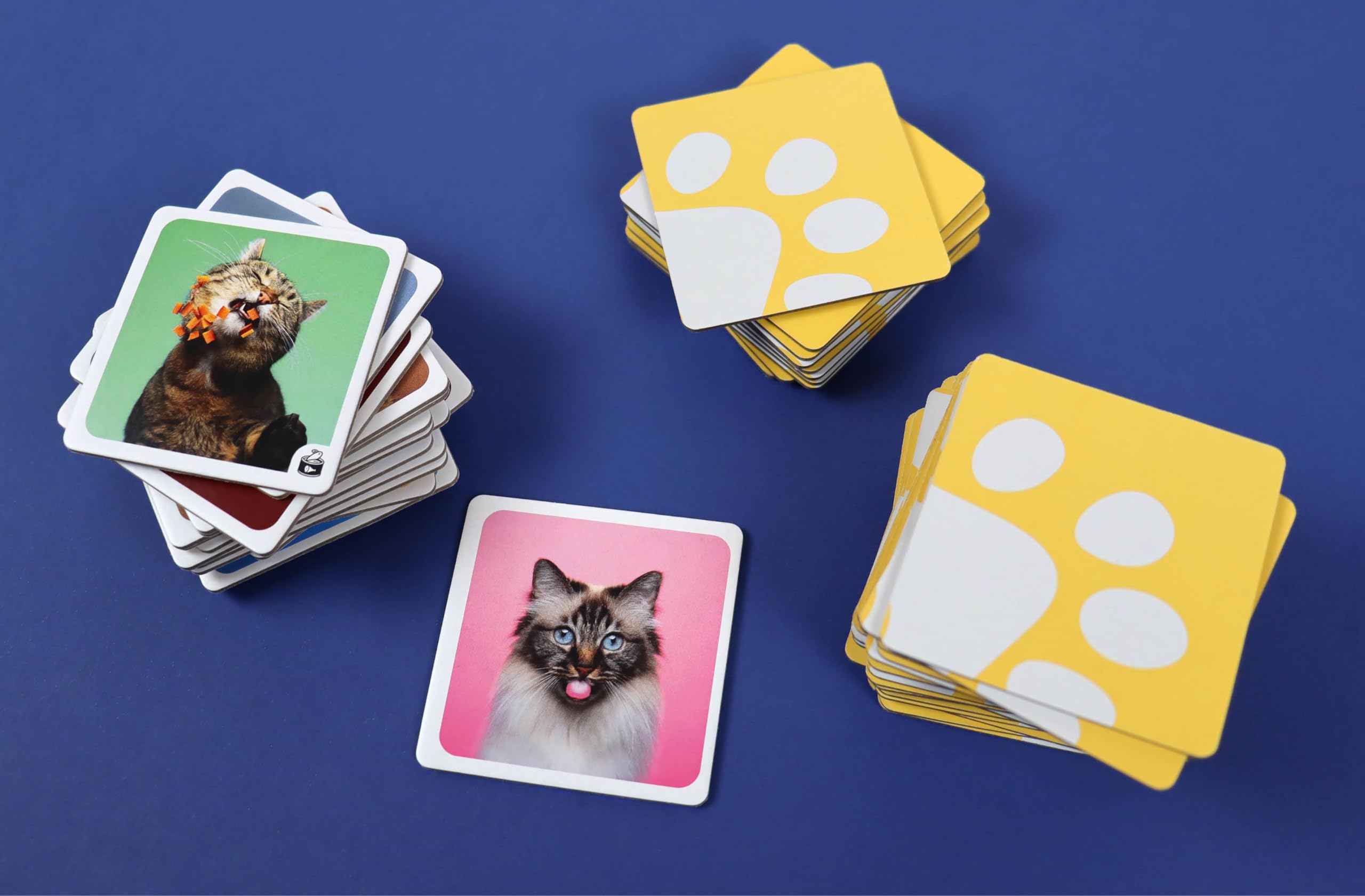 Memo-Spiel: Crazy cats!: Mit 60 lustigen Katzen-Motiven von süß bis grumpy für Katzenfans von 6-99 Jahren