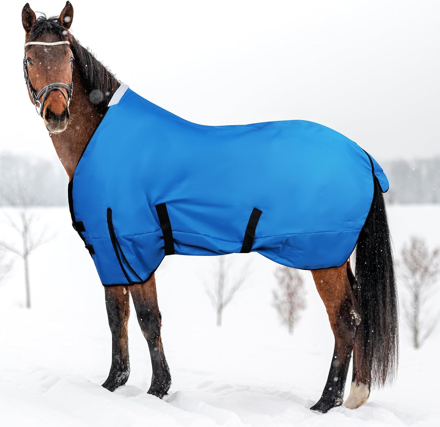 Clysee 72 Inch Horse Blankets 600d Waterproof Horse