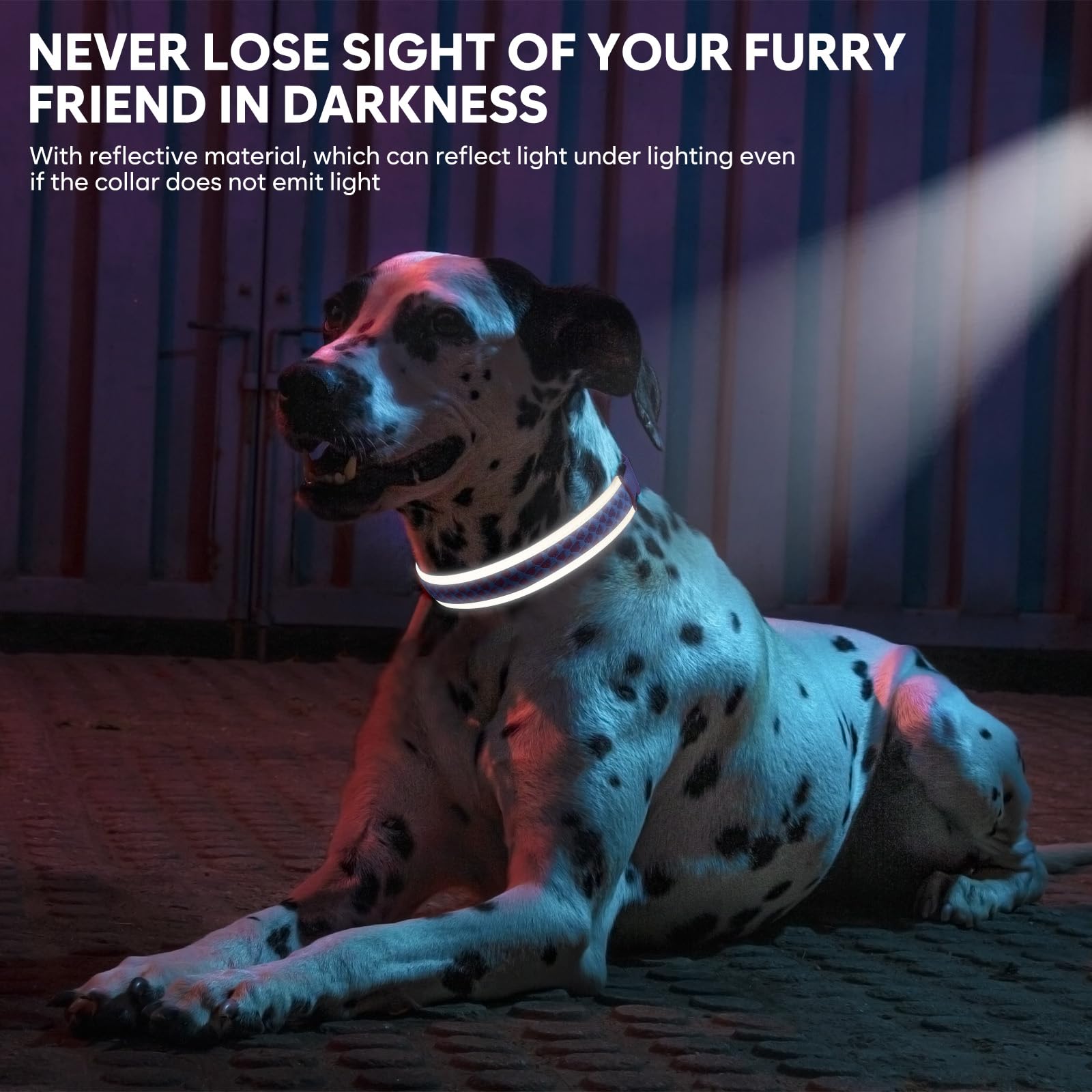 Collar LED Recargable Para Perros – Luz Intermitente, Ajustable Y Seguro Para Cachorros Y Perros De Todos Los Tamaños