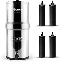 RAMA Gravity Water Filter | 17L Total Capacity (8L Storage) | 304 Stainless Steel Water Purifier Filter for Home | Includes 4 Carbon Candles & 10-Year Warranty