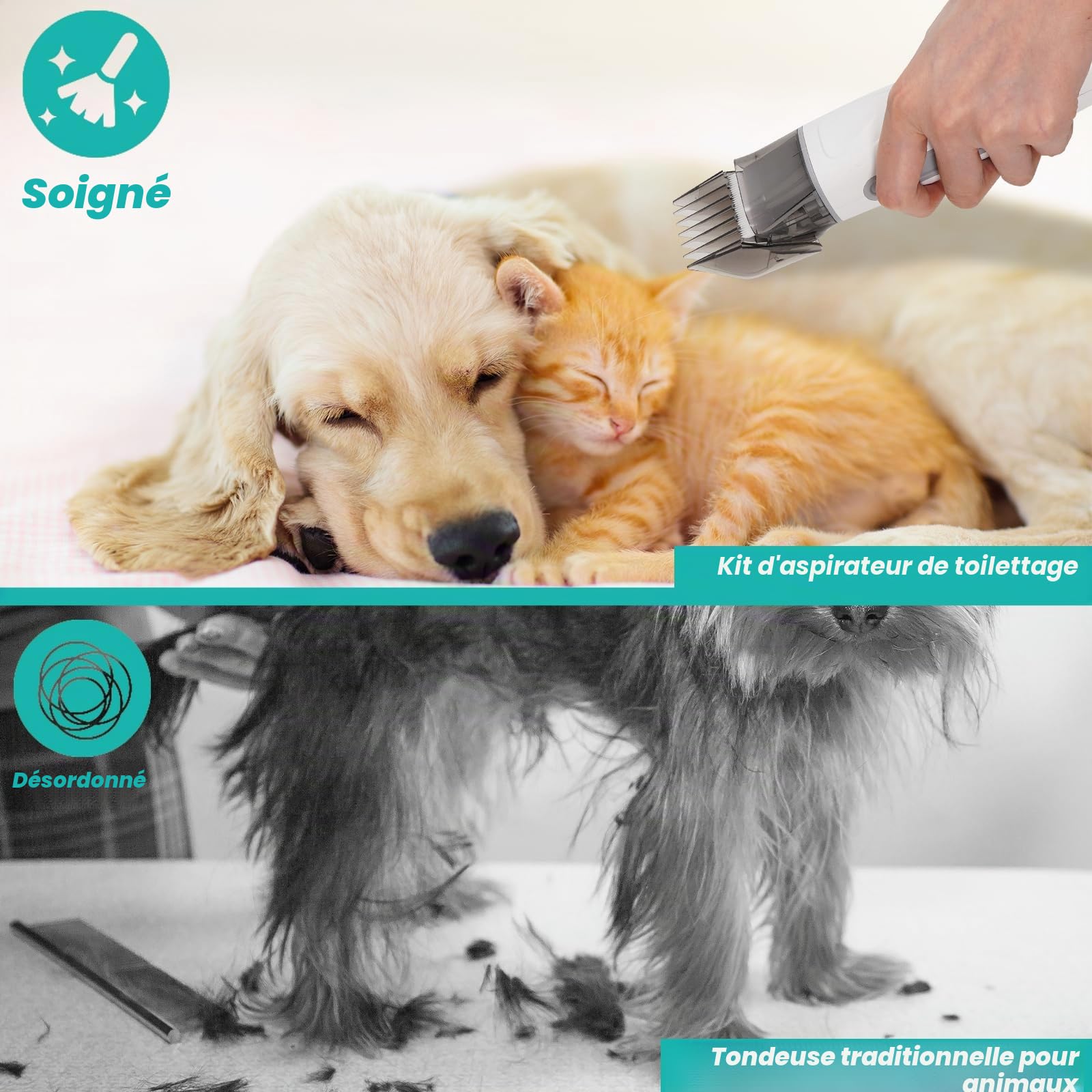 Tondeuse pour chien avec aspirateur, 13000 PA avec 7 outils d'entretien, tondeuse à pattes, brosse, peigne, 3 niveaux d'aspiration réglables