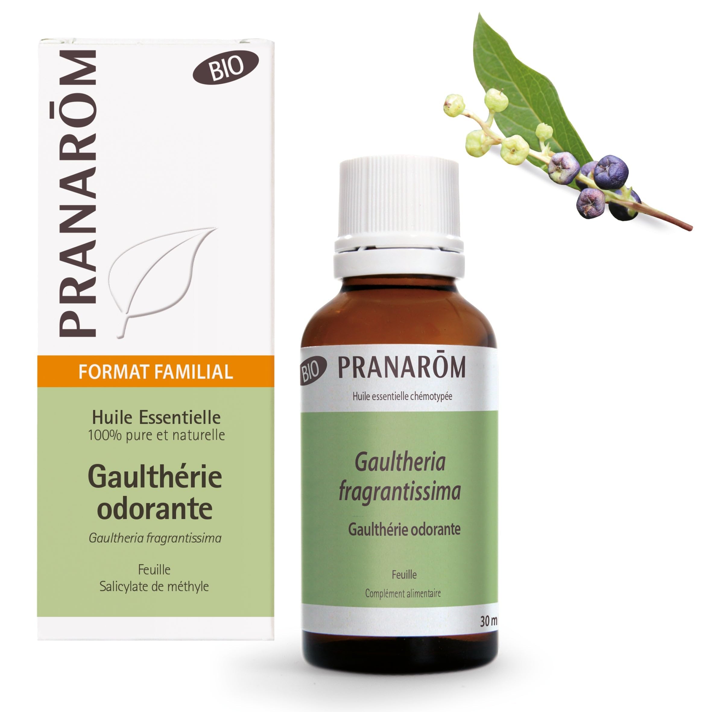 Essential Oil of Wintergreen Olorosa Bio 30 ml