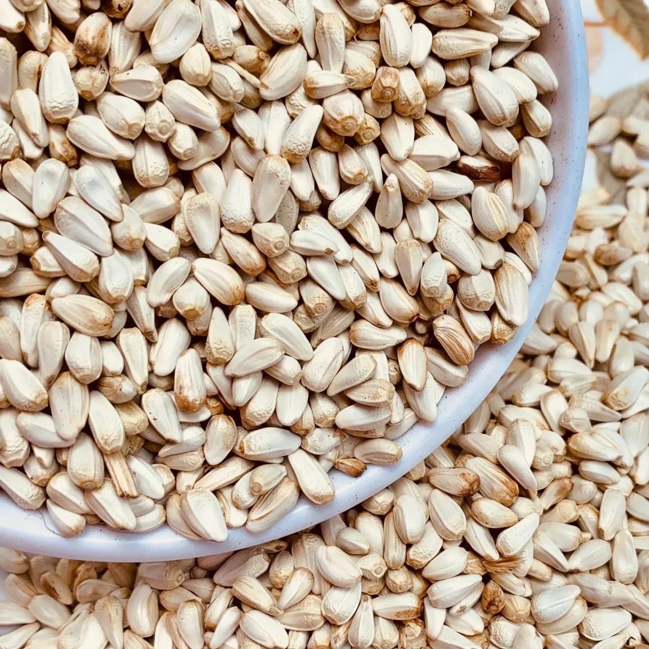 SANJU Kusum Seeds for Birds 1.5 KG - Safflower Seeds - Kusum Beej - Saffola Seeds - Kardi Seed Bird Food (B0D39DQYYD) Amazon Price History, Amazon Price Tracker