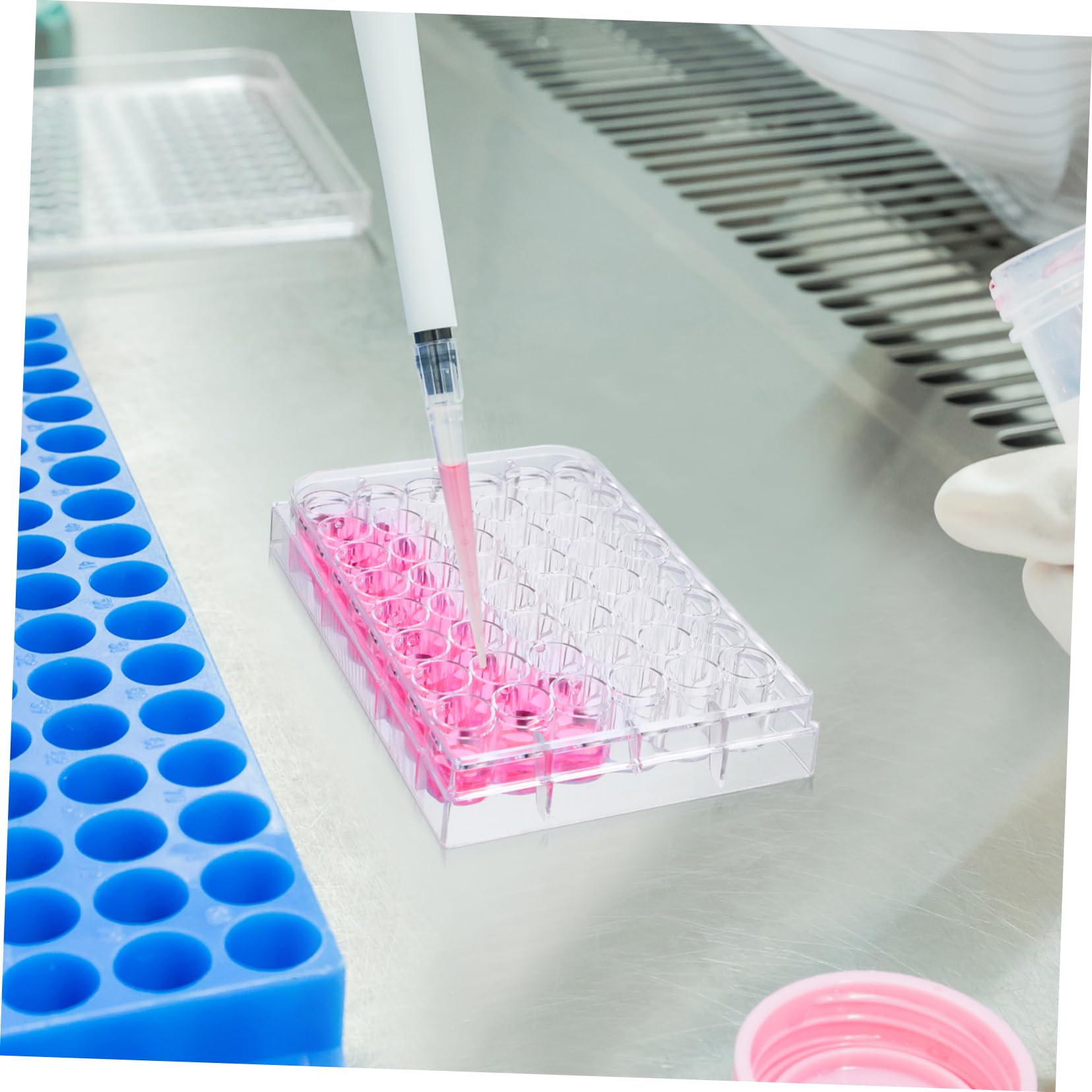ULTECHNOVO 10pezzi Piastra Per Coltura Cellulare Trasparente Da Pozzetti Con Coperchio Stabile Strumento Per Esperimenti Di Laboratorio e Coltura Tissutale