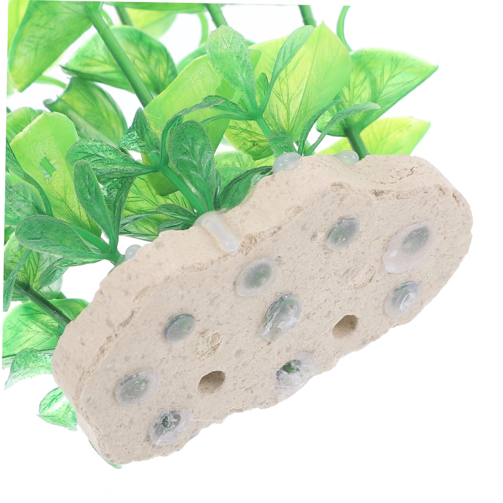 OUNONA 3 Pezzi di Acquatica Artificiale Mini Pianta Acquatica Piante Finte Decorazioni per Acquari Accessori per Acquari Piante di Foglie Piante d'Acqua Dolce Artificiali