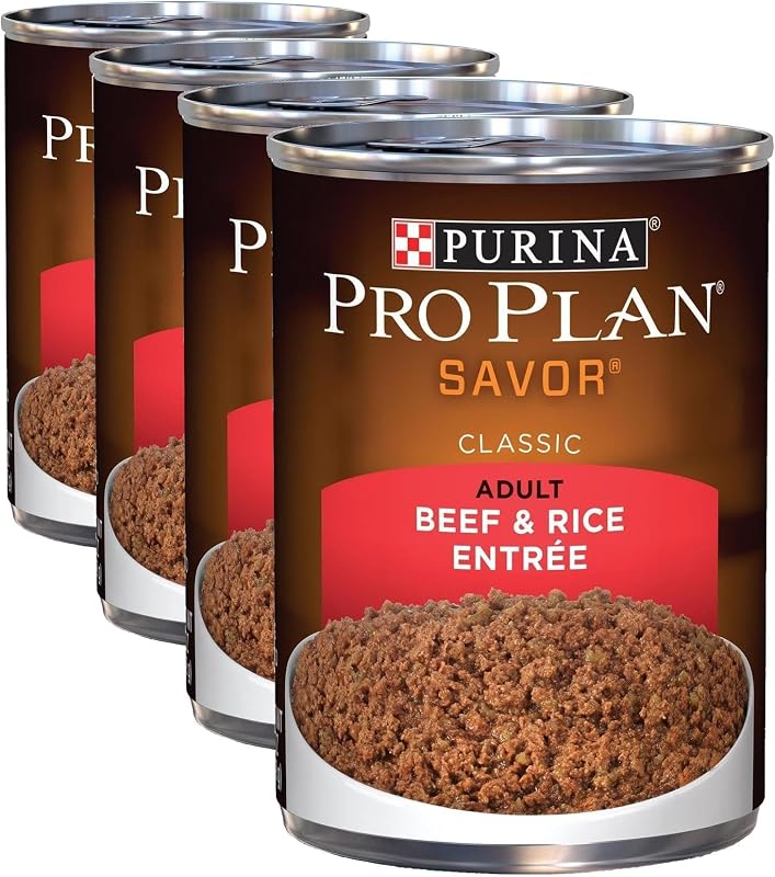 Ração úmida para cães sabor carne e arroz American Distribution & Pro, 369 g, Pacote com 4