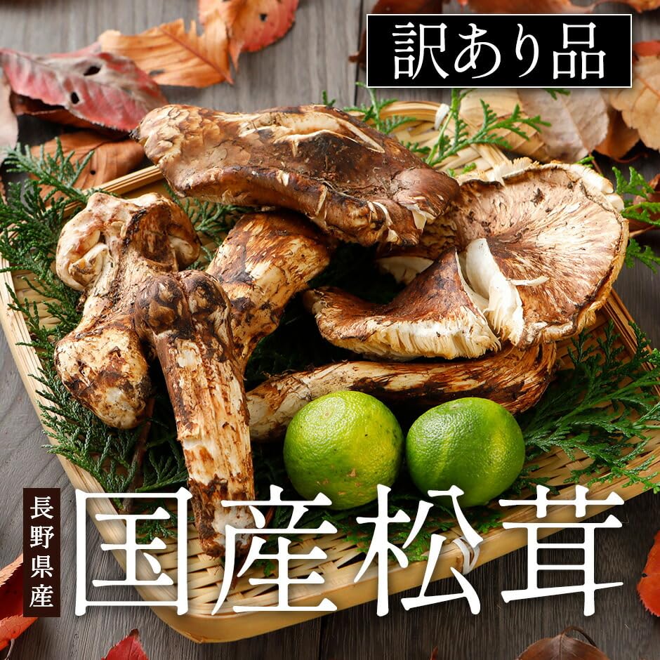 松茸 長野県産 国産 まつたけ 訳あり⑥ 松茸 長野県産 国産 まつたけ 訳あり⑥