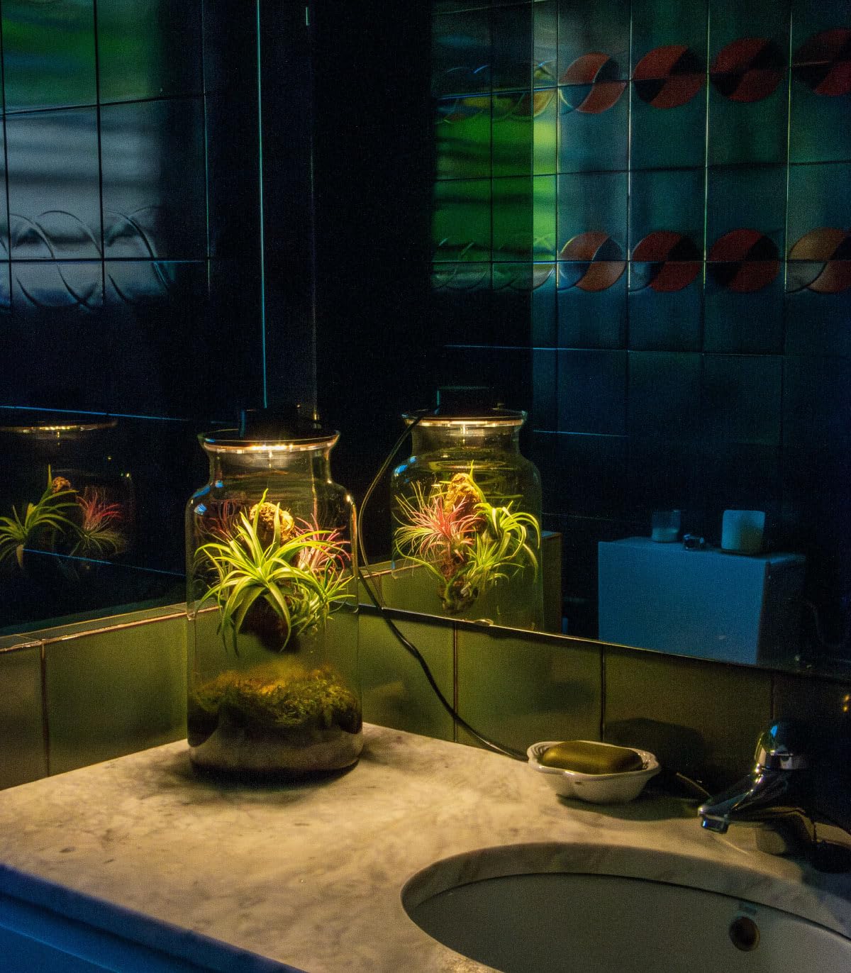Jardin en Botella Eter - Terrario Plantas Vidrio Transparente Tapa con Foco LED | Kit Jardin en Botella Todo Incluido Plantas de Aire Naturales en Raiz de Olivo