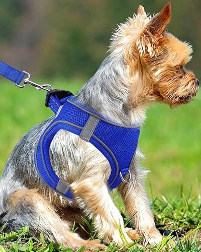 Vista 127 de Joytale arnés para perro, 12 colores, chaleco de malla transpirable, arnés acolchado suave reflectante para perros medianos, negro, XL.