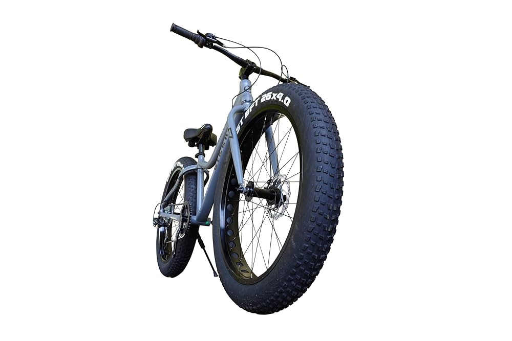 Amazon.co.jp: アイゼル(Eizer) ビーチクルーザー 【ファット