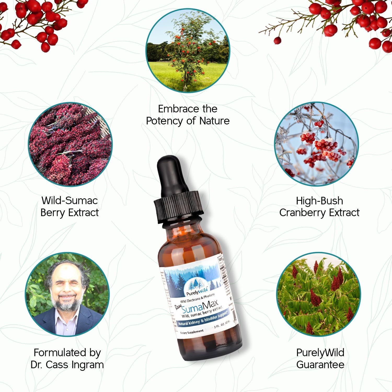 PURELY WILD SumaMax Supplement – Formulated by Dr. Cass Ingram with Raw Sumac Berries & Cranberry Extract – Wild Electrons & Photons – 2 fl oz