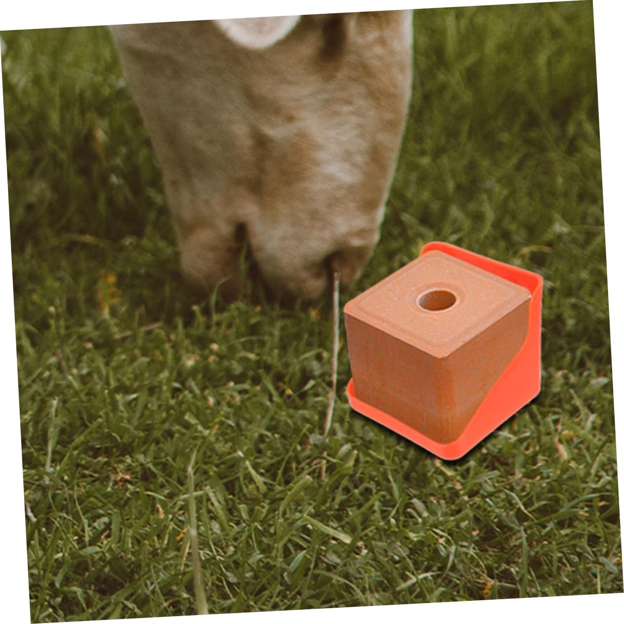 3pcs Horse Sheep Salt Licking Rack Salt Block Feeding Livestock Feeder Plastic