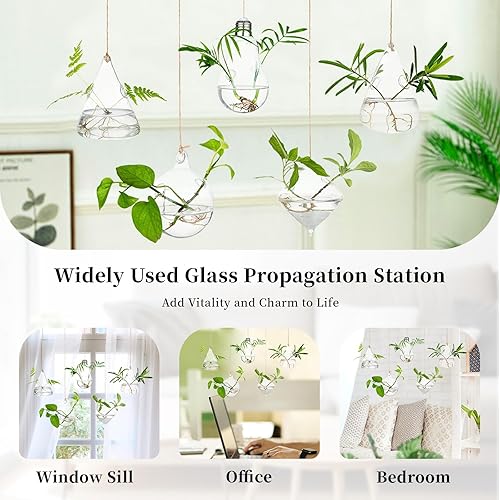 Miniatura 7 de Glasseam Macetas colgantes terrario de cristal: 5 estaciones modernas de propagación de plantas, jarrones hidropónicos de pared para plantas de