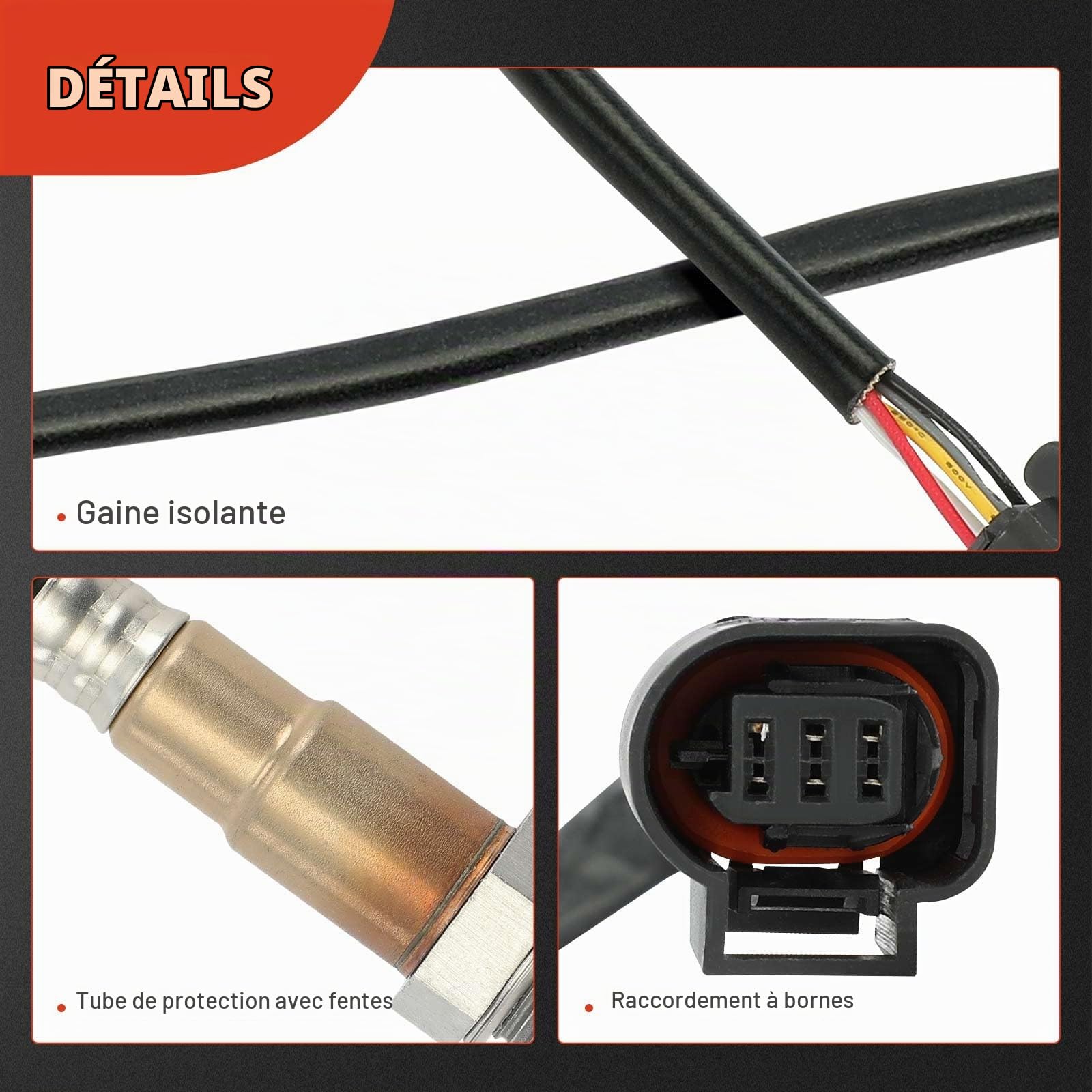 Frankberg Sonde de contrôle 0258027017