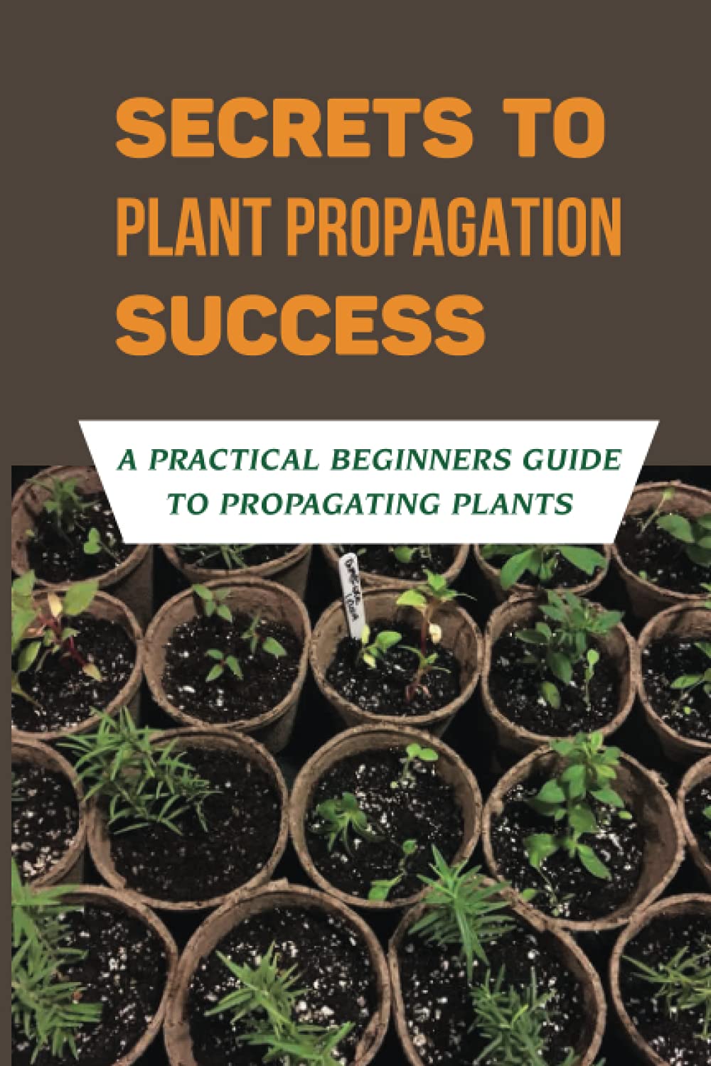 Secrets To Plant Propagation Success: A Practical Beginners Guide To Propagating Plants: Plant Propagation Techniques